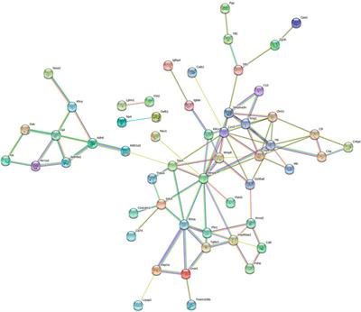 Proteome Analysis of Urinary Biomarkers in a Bovine IRBP-Induced Uveitis Rat Model via Data-Independent Acquisition and Parallel Reaction Monitoring Proteomics